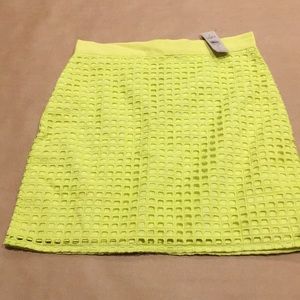 NWT Loft Lime Skirt